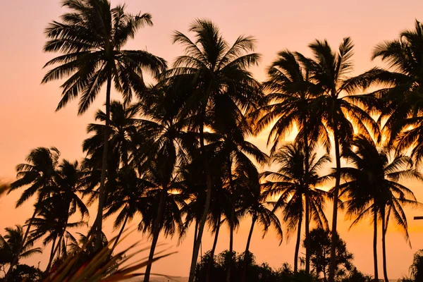 Tramonto Sulla Spiaggia Dello Sri Lanka — Foto Stock