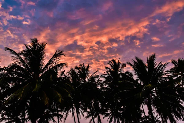 Захід Сонця Березі Шрі Ланки — стокове фото