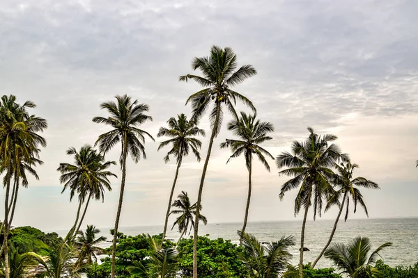 Beach Pictures Bentota Sri Lanka — Stock Photo, Image