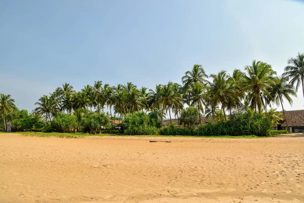 Zdjęcia Plaży Bentota Sri Lanka — Zdjęcie stockowe