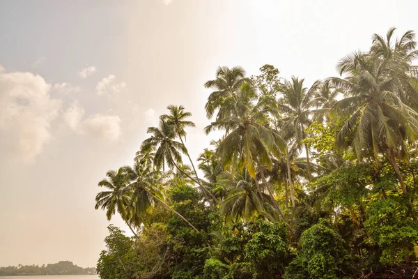 Zdjęcia Plaży Bentota Sri Lanka — Zdjęcie stockowe