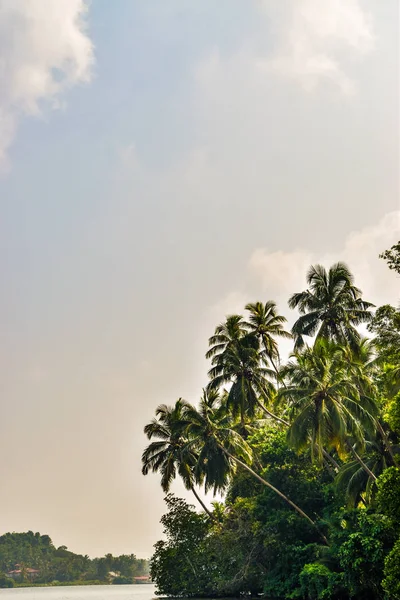Beach Foto Van Bentota Sri Lanka — Stockfoto