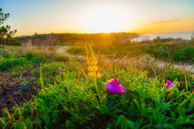 Sunrise, Portekiz Algarve sahilinde günbatımı. Lagos, Faro, Albufeira