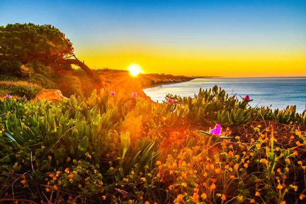 Wschód Słońca Zachody Słońca Wybrzeżu Algarve Portugalii Lagos Faro Albufeira — Zdjęcie stockowe