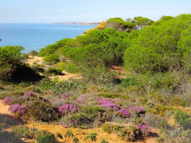 Algarve Portekiz bir dünyada en güzel manzara