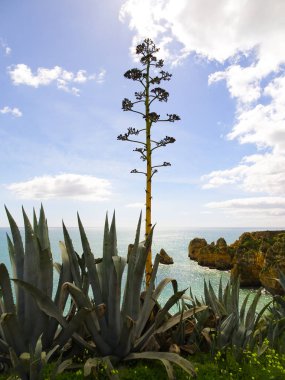 Algarve coast in Portugal Lagos, Faro, Albufeira