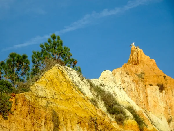 Algarve Coast Portugal Lagos Faro Albufeira — 스톡 사진