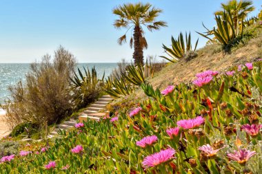 Algarve Portekiz bir dünyada en güzel manzara