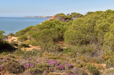 Algarve Portekiz bir dünyada en güzel manzara