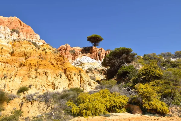 Algarve 포르투갈 세계에서 — 스톡 사진