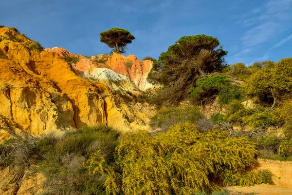 Algarve 포르투갈 세계에서 — 스톡 사진