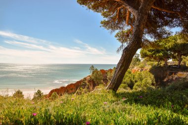 Algarve Portekiz bir dünyada en güzel manzara