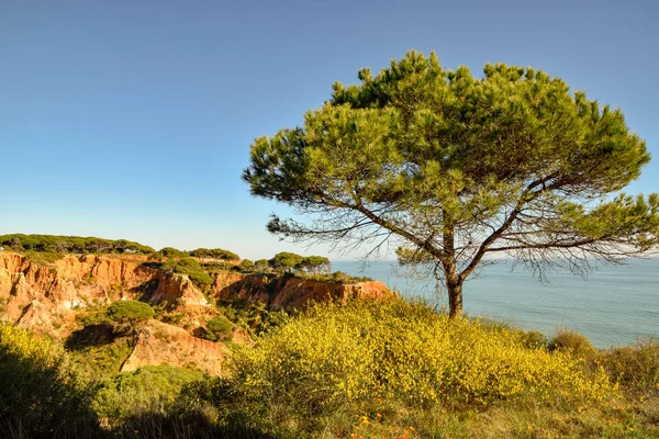 Costa Algarve Portugal Lagos Faro Albufeira — Fotografia de Stock