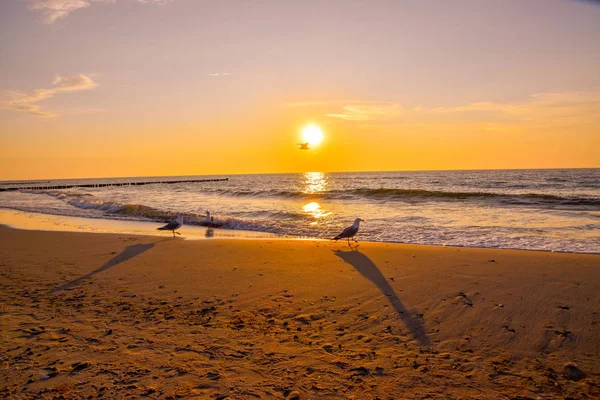 Sunset at the Baltic Sea