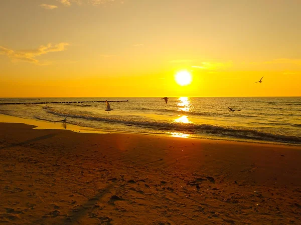 Puesta Sol Mar Báltico — Foto de Stock