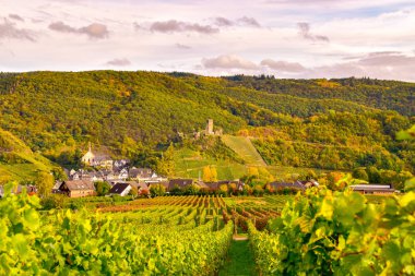 Beilstein Moselle 'de küçük bir köy.