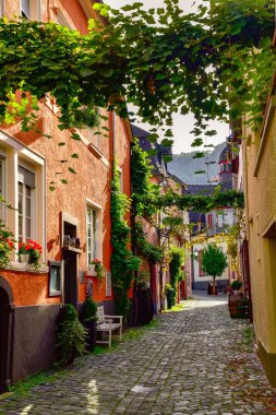 Beilstein Moselle 'de küçük bir köy.