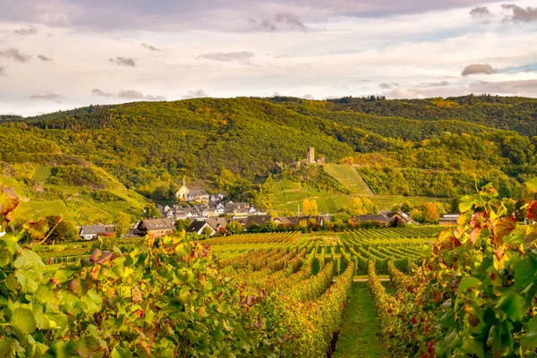 Beilstein Moselle 'de küçük bir köy.