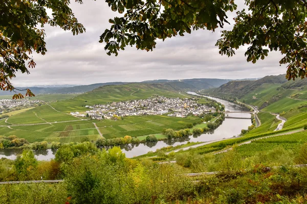 Leiwen Village Moselle — Stock Photo, Image