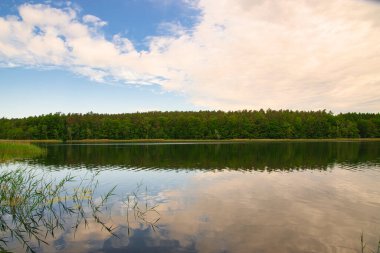 Uckermark 'taki Templin yakınlarında küçük, güzel bir orman gölü.