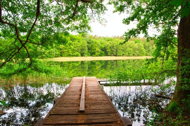 Uckermark 'taki Templin yakınlarında küçük, güzel bir orman gölü.