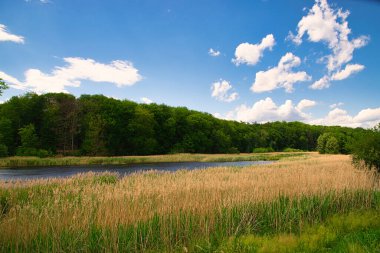 Uckermark 'taki Templin yakınlarında küçük, güzel bir orman gölü.