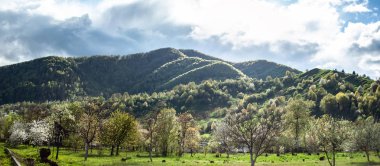 Yeşil çimenler, tepeler ve ağaçlar, güneşli hava, bulutlu gökyüzü ile göz alıcı panoramik manzara 