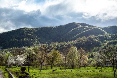 Yeşil çimenler, tepeler ve ağaçlar, bulutlu gökyüzü ile göz alıcı manzara 