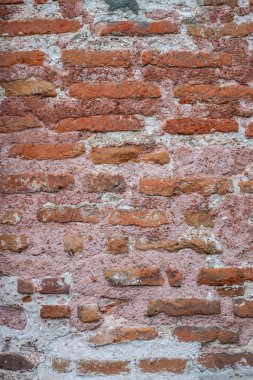 Yosun ve beton ile eski tuğla duvar