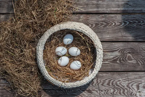 White eggs lays in the knitted white pottle with dry hay inside — Stock Photo, Image