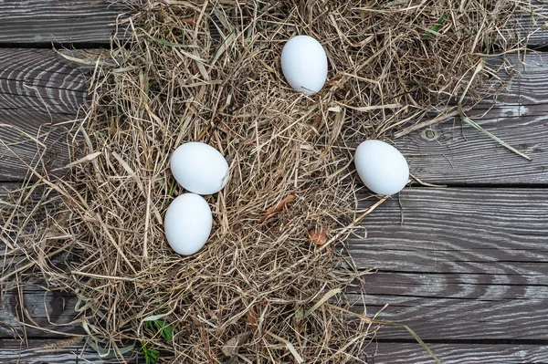 Beyaz yumurtalar ahşap tahtanın üzerinde kuru samanlara konur. 