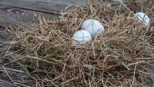 White eggs lays in the dry hay on the wooden aged board — Stock Photo, Image