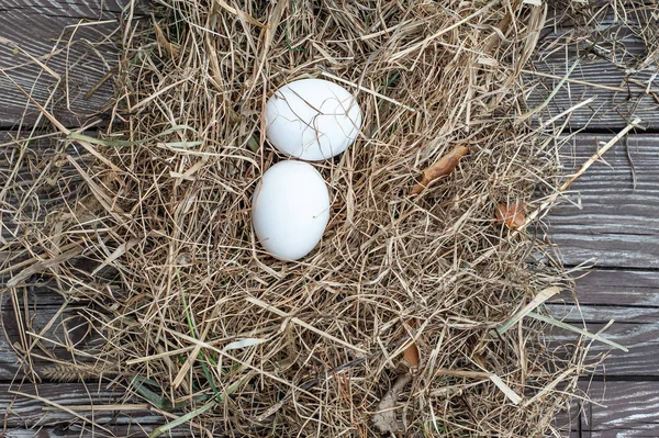 White eggs lays in the dry hay on the wooden aged board — Stock Photo, Image