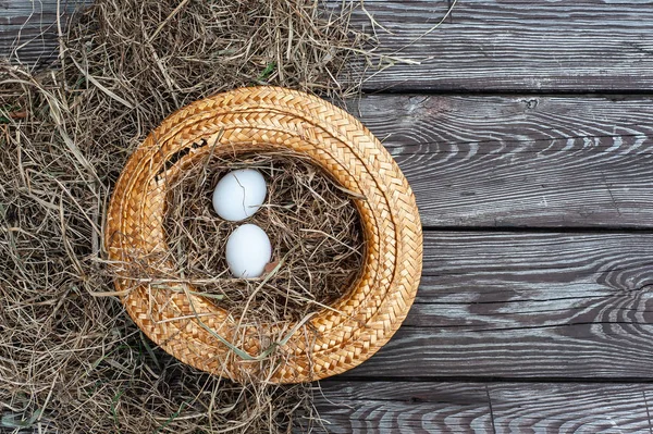 White eggs lays in the yellow straw hat as a nest with dry hay i — Stock Photo, Image