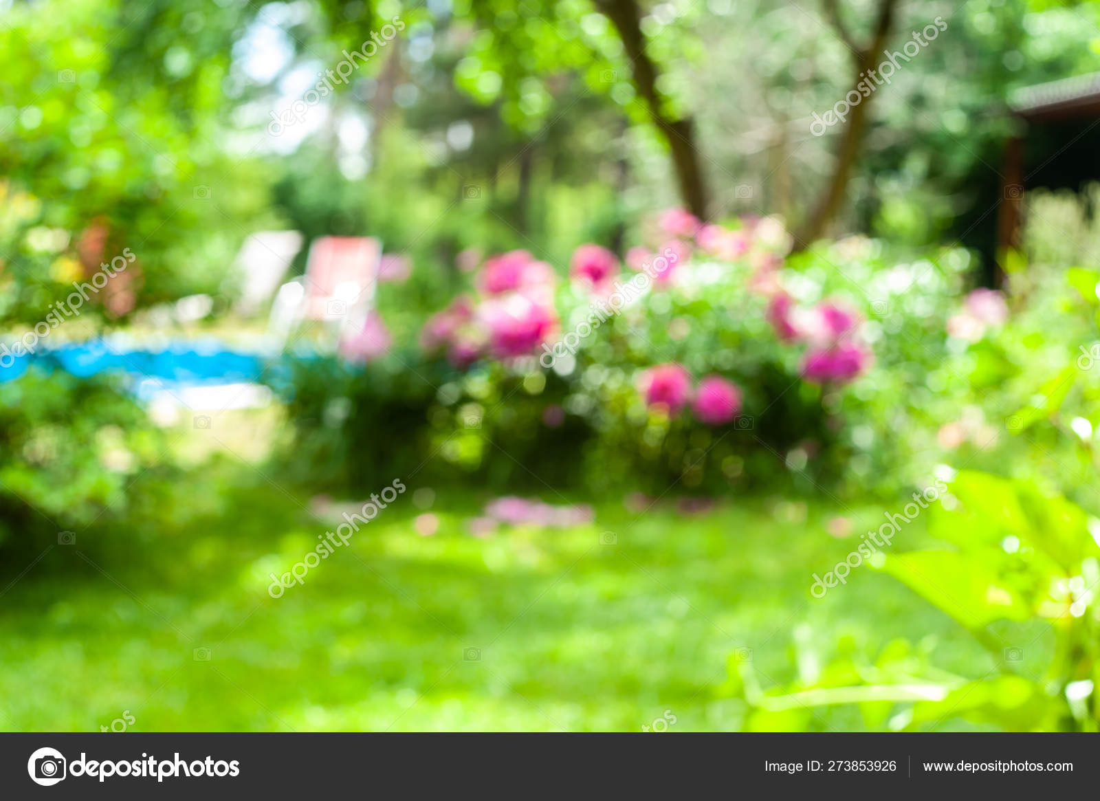 Blurred garden background with blossom flowers, grass and a pool Stock  Photo by ©DenysR 273853926