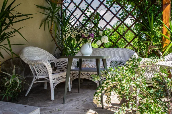 Kleiner schöner Innenhof mit Yuccapflanzen, weißen Weidenmöbeln und — Stockfoto