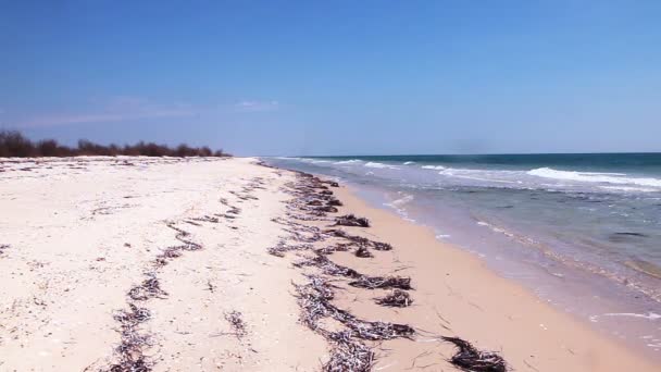 Paradise opuštěné pláži s bílým pískem s válcování vlny oceánu nebo moře na slunečný den s modrou oblohou — Stock video