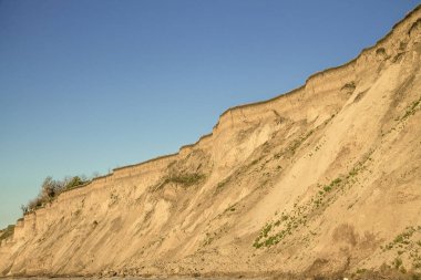 Bitki kökleri ve küçük izole bitki örtüsü ile kumlu kil toprak dikey kırılması. Mavi gökyüzü. Yalı atış arkasında