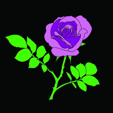 Sorunsuz menekşe gül arka plan - siyah arka plan üzerine sürekli çoğaltma için desen örneği. Kumaş, duvar kağıdı, yazdırma işleri için veya tek başına illüstrasyon gibi kullanılabilir.