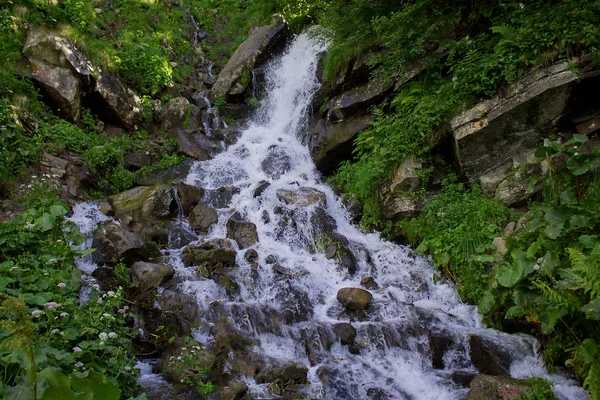 Kır çiçekleri ve Dzenbronia dağlar peyzaj yeşilliklerle çevrili küçük şelale fotoğrafını