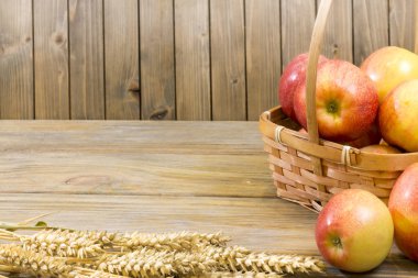 Sonbaharda hasat renkli çerçeve ya da afiş kadar kapatın