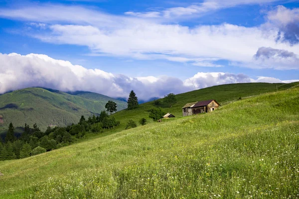 Yaz güneşli güzel dağ manzarası — Stok fotoğraf