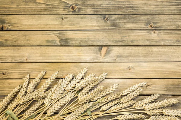 Tarwe of rogge spikelets op houten achtergrond — Stockfoto