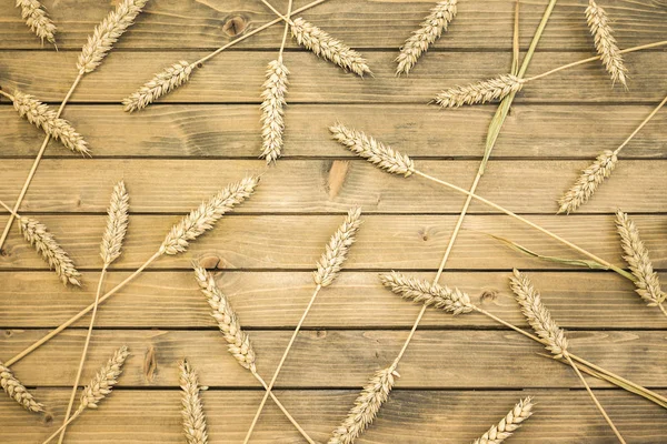 Ahşap arka plan üzerinde buğday ya da çavdar spikelets