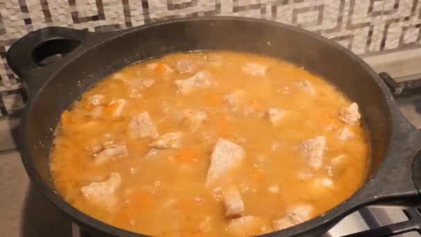 Goulash o carne con estofado de verduras en wok — Vídeo de stock