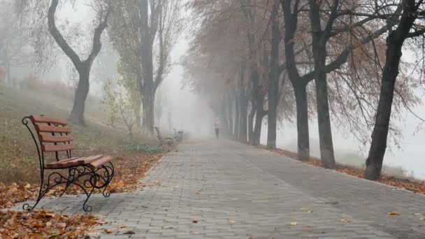 妇女跑在公园在雾蒙蒙的秋天早晨 — 图库视频影像