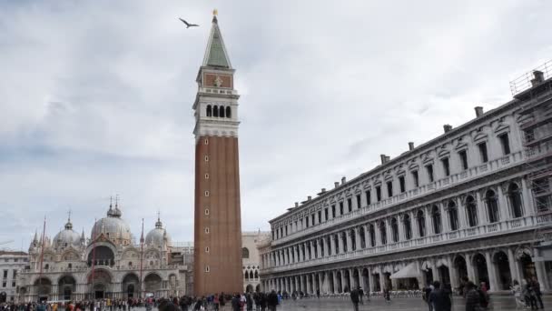 San Marco Platz mit spazierenden Touristen. Venedig, Italien — Stockvideo