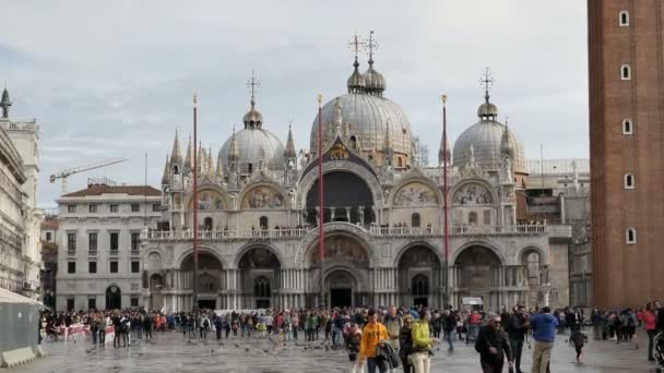 San Marco τετραγωνικό με περπάτημα τουρίστες. Βενετία, Ιταλία — Αρχείο Βίντεο