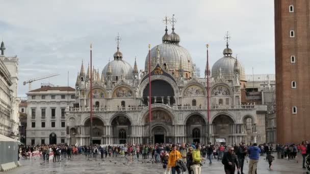 Plaza San Marco con turistas a pie. Venecia, Italia — Vídeo de stock