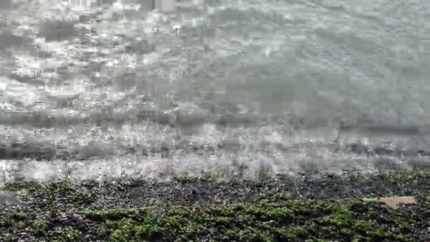 Groene algen op een stenen trappen op de zee of Oceaan kust. — Stockvideo